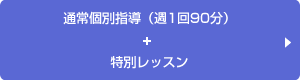 英語個別指導コース